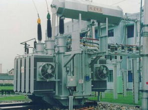 處罰到期仍未整改完畢 雙星變壓器繼續被國網停標